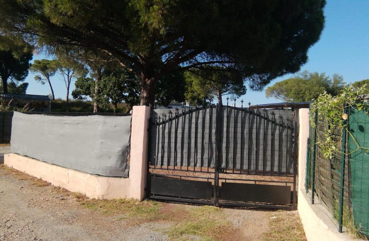 Mobilhome A Frejus A 15 Minute De La Mer Sur Terrain Independant Zewnętrze zdjęcie