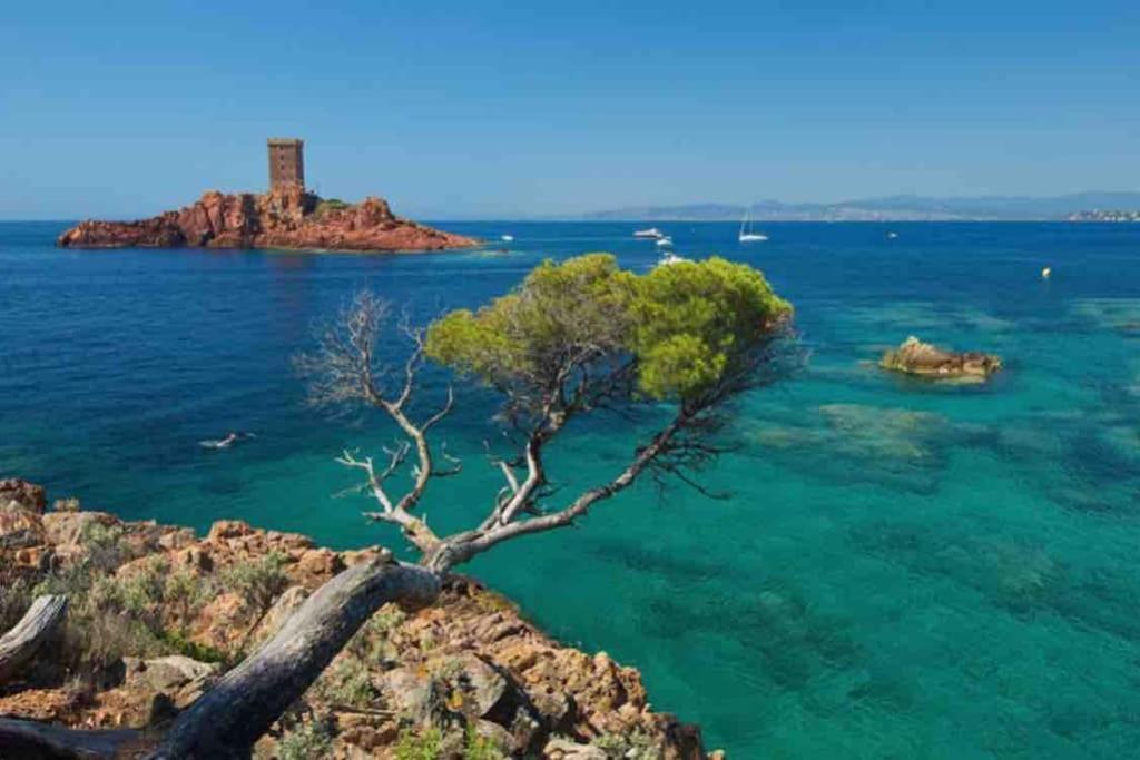 Mobilhome A Frejus A 15 Minute De La Mer Sur Terrain Independant Zewnętrze zdjęcie
